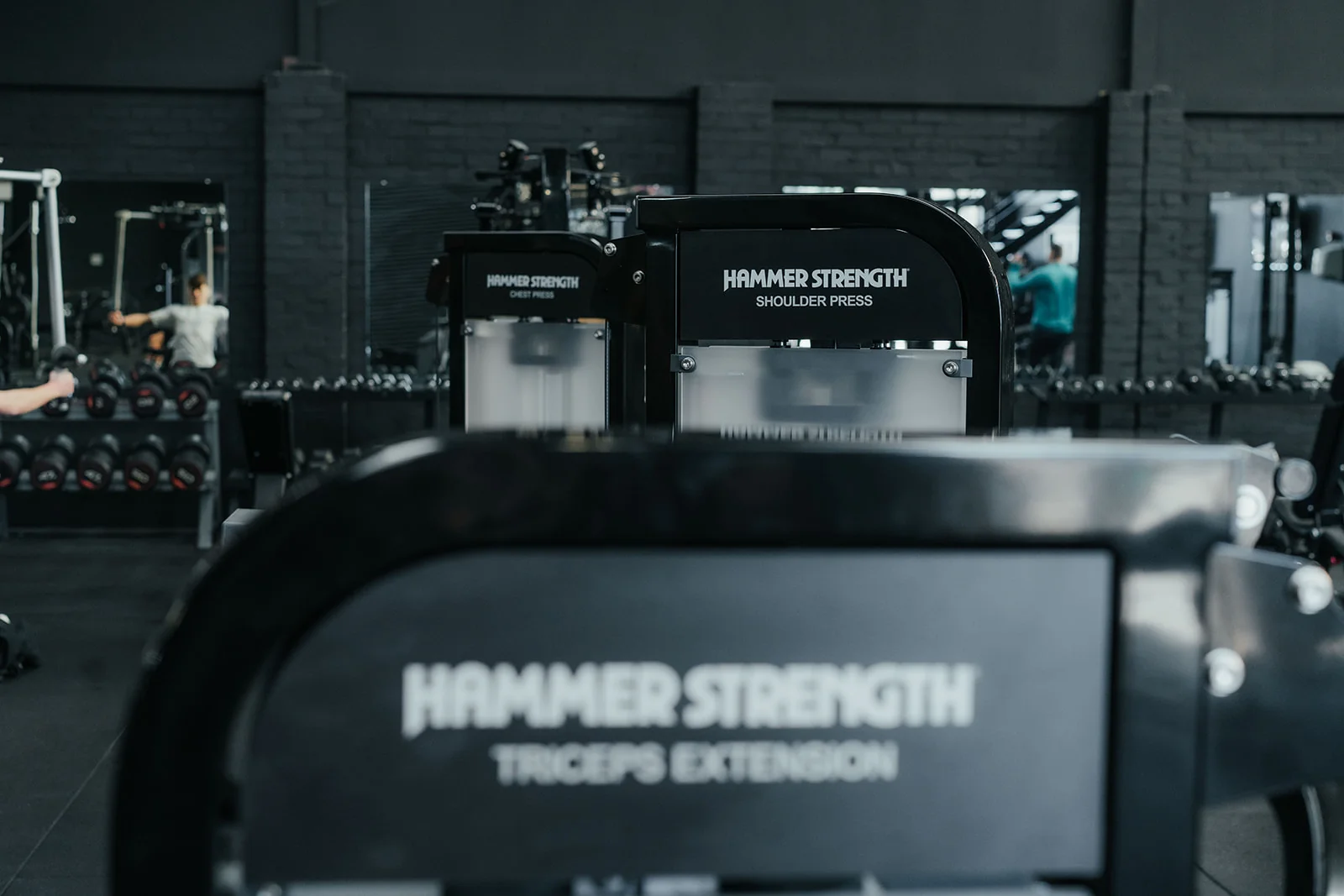 Training with Platinum Hammer Strength equipment