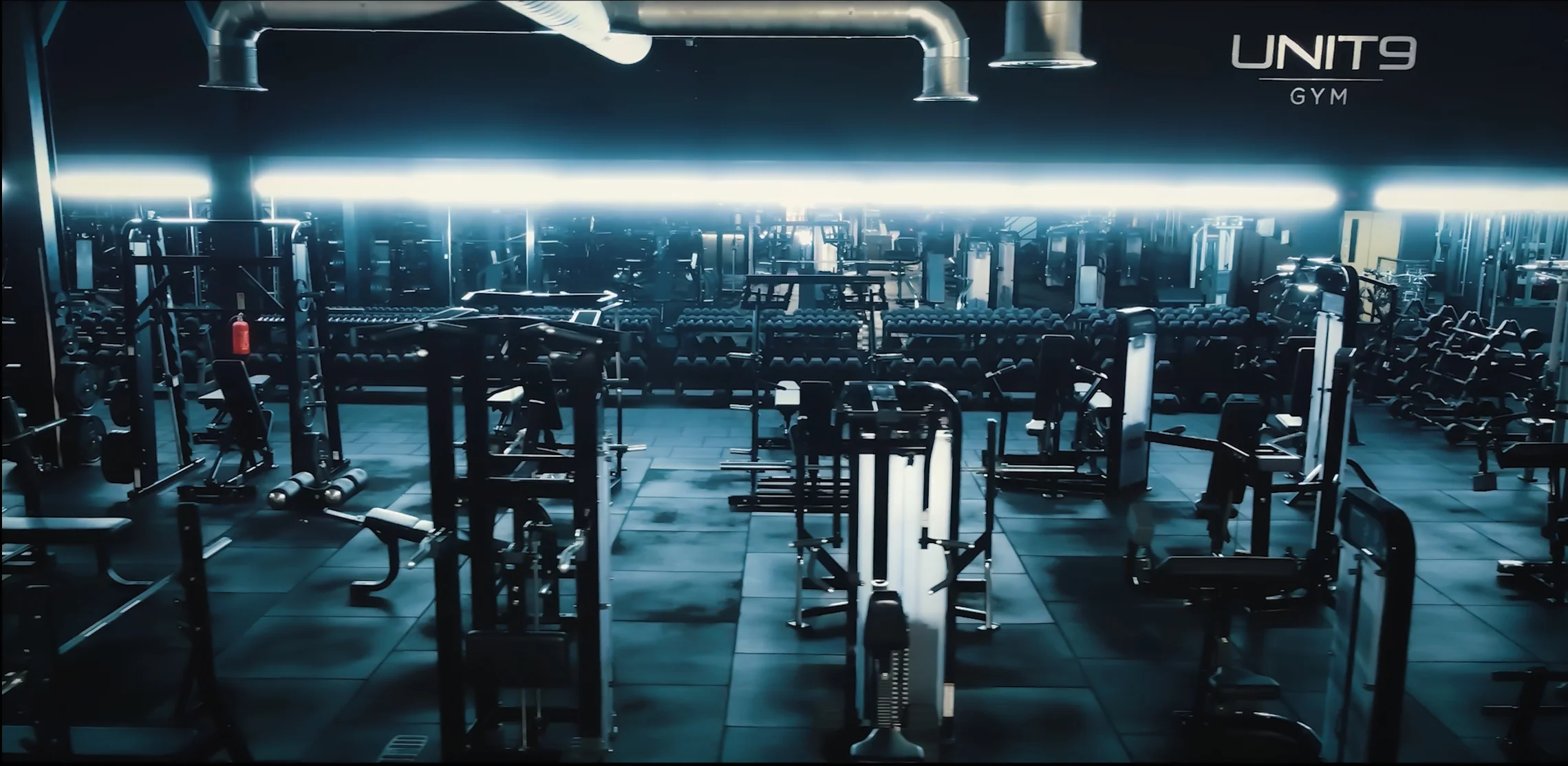 Platinum Hammer Strength at Unit 9 Gym Neath